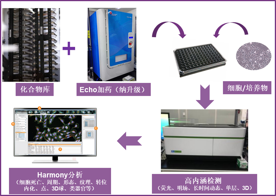 1753868839765015630.png 表型筛选.png