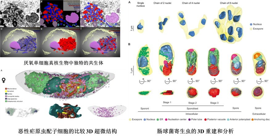1763081544998059654.jpg 1763081544998059654.jpg