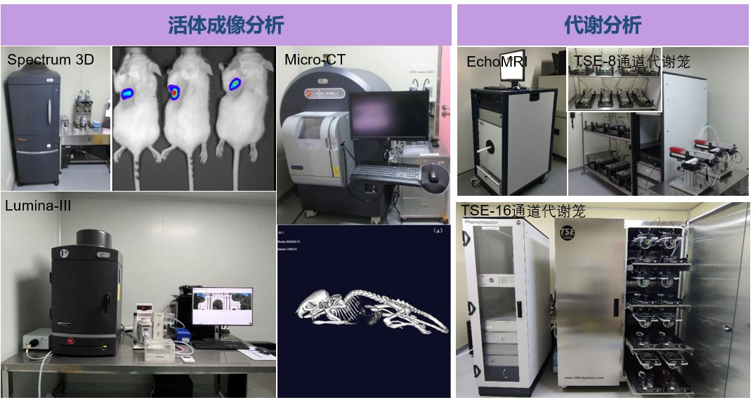 1763083018455002043.jpg 1763083018455002043.jpg