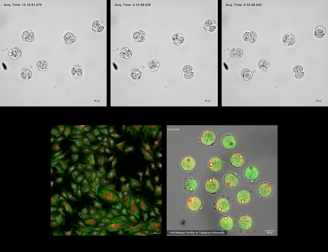 1763083568537082052.jpg 1763083568537082052.jpg