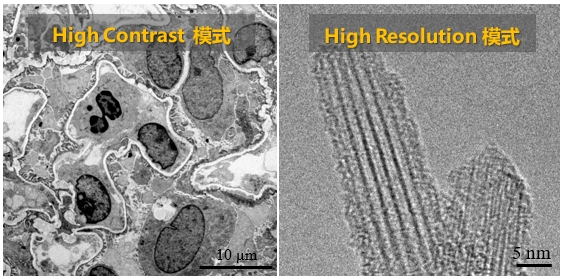 1789353044824087483.jpg 20260922 细胞生物学平台电镜机组日立HT7800透射电子显微镜培训通知 封面图.jpg